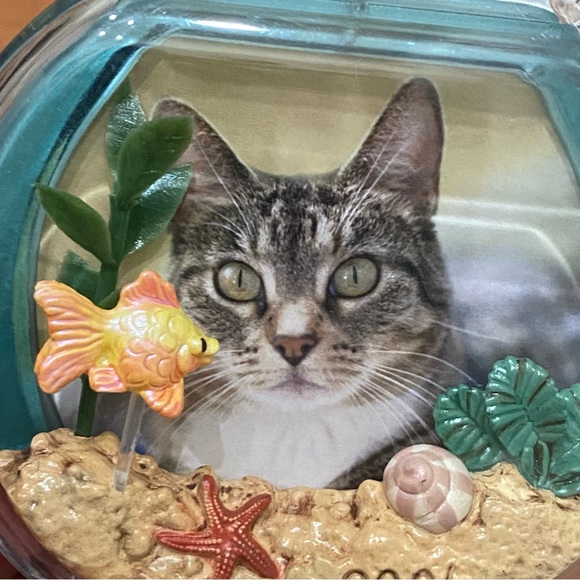 2006 HALLMARK Keepsake Special Cat Christmas Tree Ornament - Picture 12 of 13